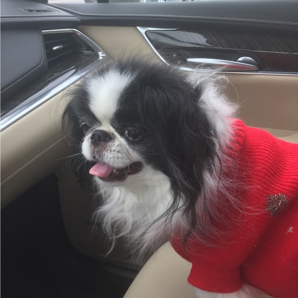 Meet your Posher, Tricia - Picture 5 of 10